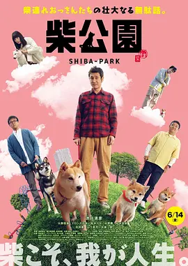 低谷里的美人