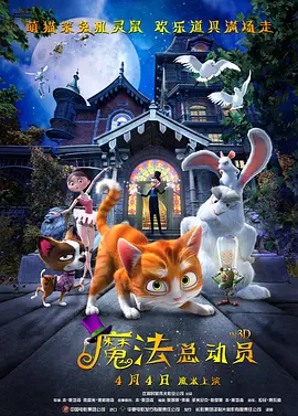 午夜视频1000部免费看