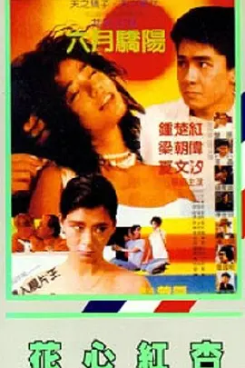 中文字幕一区二区三区乱码aⅴ