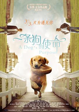 色播在线
