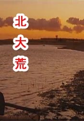 男人午夜在线观看