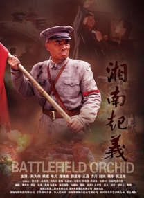 亚洲不卡在线观看