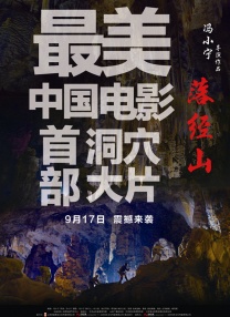 表姐姐姐2020