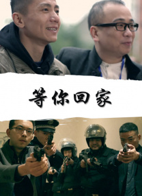 久久午夜激情