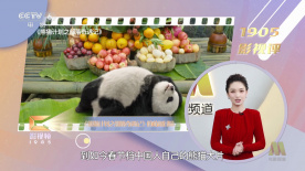 丁香花网站